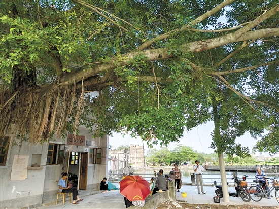 “倉東計劃”不僅希望把遺產保護好，還希望傳統(tǒng)的生活方式、生活環(huán)境保留下來。