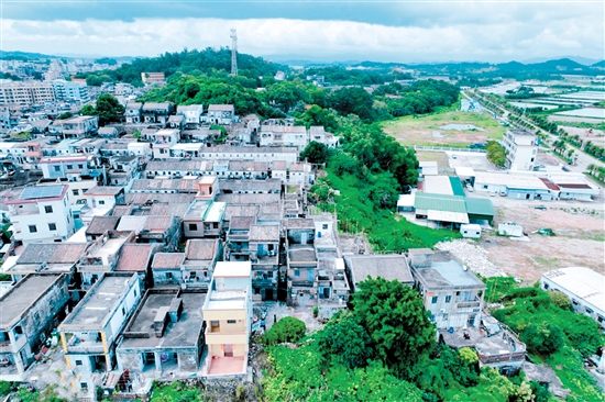 經(jīng)過改造后，鯤鵬村的舊房屋（上圖）披上具有海洋元素的“外衣”，村容村貌明顯改善。