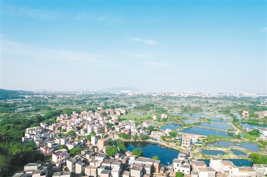 走進(jìn)雙橋村，連片的?；~塘映入眼簾，隨處可見粼粼波光。