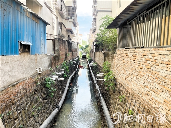整改前的新昌明渠積存大量污水，長時間暴露后容易發(fā)黑發(fā)臭。
