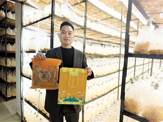 蛹蟲草春節(jié)禮盒包裝受到青睞。