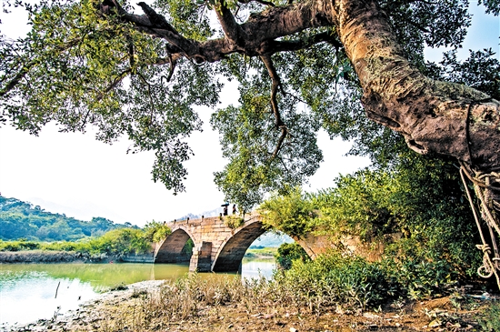 北陡鎮(zhèn)琴溪古橋。