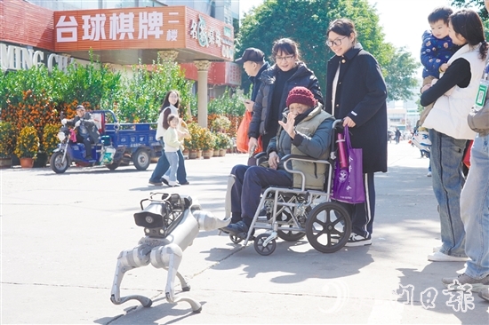 電子警犬與市民友好互動。