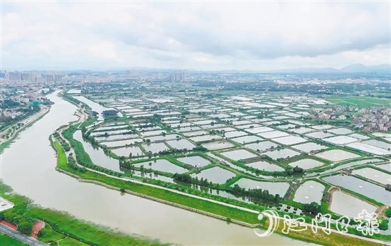 古勞鎮(zhèn)發(fā)動魚塘養(yǎng)殖戶開展魚塘清淤，推動魚塘養(yǎng)殖增產(chǎn)增收。