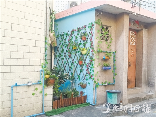 家門口的立體小花園為禾岡村注入生機(jī)與活力。