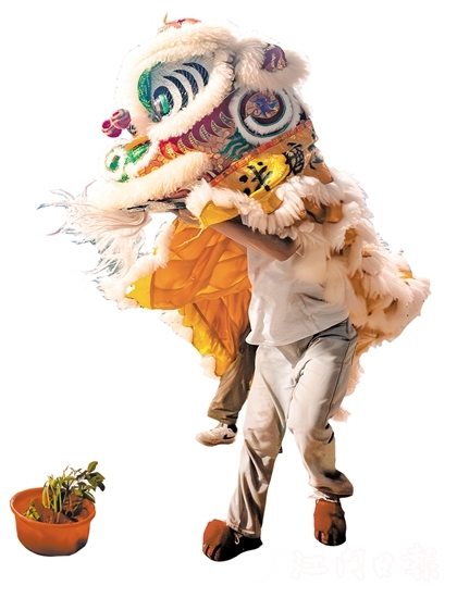 花炮會上，醒獅采青表演十分精彩。