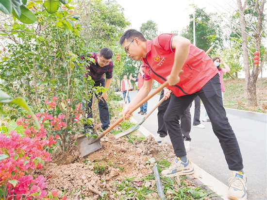 大家分工明確，一起植樹添新綠。