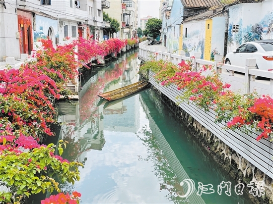 外海街道直沖村一河兩岸花團(tuán)錦簇，美景如畫。
