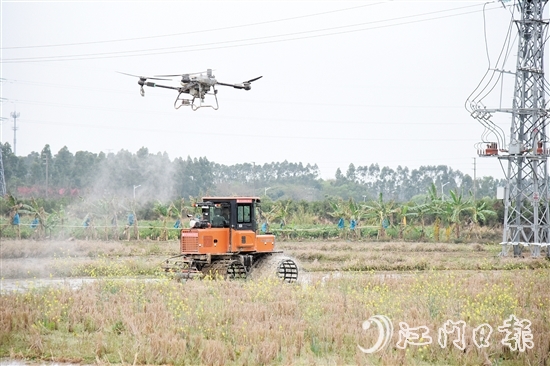 無人機、水旱耕作機協(xié)作開展春耕生產(chǎn)。