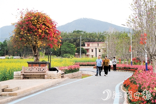 在鶴城鎮(zhèn)城西村忠心崗，油菜花、金魚草、三角梅競相開放。