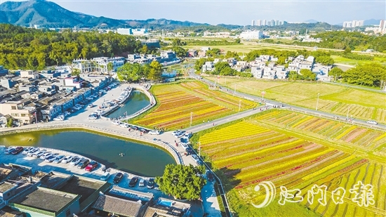 春賞格桑花、夏觀荷塘月、秋品稻花香、冬聞桂花釀的“全季旅游”模式，讓桂水村的知名度不斷攀升。