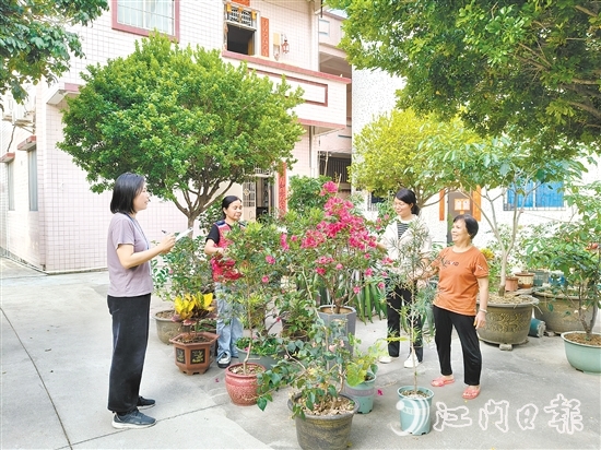 江海區(qū)鄉(xiāng)村綠化工作深入人心。圖為禮樂街道駐新華村干部、村“兩委”干部入戶開展鄉(xiāng)村綠化評(píng)分。
