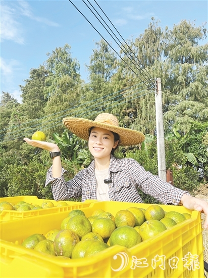 劉雪菲不斷探索新會(huì)柑種植、新會(huì)陳皮陳化倉儲(chǔ)的更多可能。