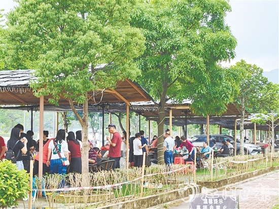 今年“五一”假期，恩平市簕菜文化創(chuàng)意園內(nèi)游人如織。