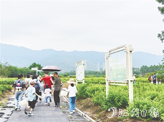 恩平市簕菜文化創(chuàng)意園打造集文旅、飲食、研學(xué)、農(nóng)耕等于一體的旅游綜合體。