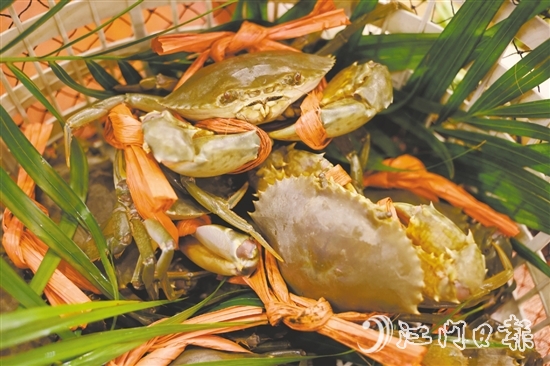崖門水蟹肉少水多，最適合原只清蒸后用吸管“啜”著吃。