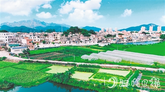 汶村鎮(zhèn)沙奇村通過(guò)深耕特色農(nóng)業(yè)、強(qiáng)化黨建引領(lǐng)、創(chuàng)新基層治理，實(shí)現(xiàn)從“臟亂差”到“綠富美”的華麗蝶變。