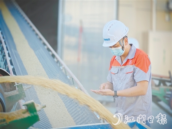 臺國糧集團(tuán)以“珍香”品牌優(yōu)質(zhì)大米為核心依托，構(gòu)建起涵蓋收購、烘干、儲備、輪換，以及精深加工、品質(zhì)檢測、市場銷售的全鏈條產(chǎn)業(yè)化經(jīng)營體系。