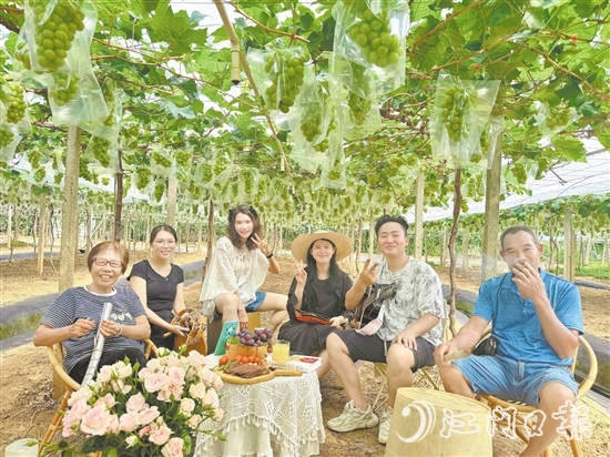 英姑葡萄園舉辦葡萄音樂會。譚鳳英