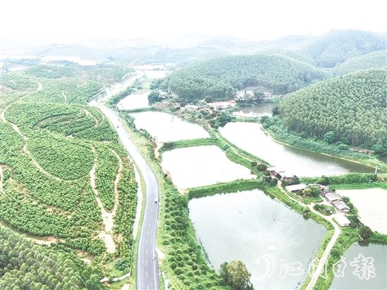 鶴山依托區(qū)位、資源、項目等核心優(yōu)勢，大力發(fā)展特色戶外運動。