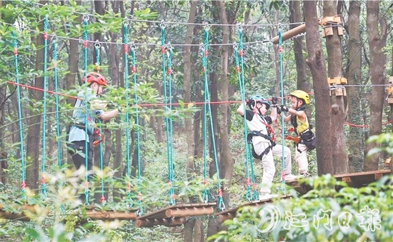 鶴山大雁山飛越叢林樂園十分火熱，吸引各地游客進山探秘原始叢林，體驗戶外運動帶來的無限樂趣。