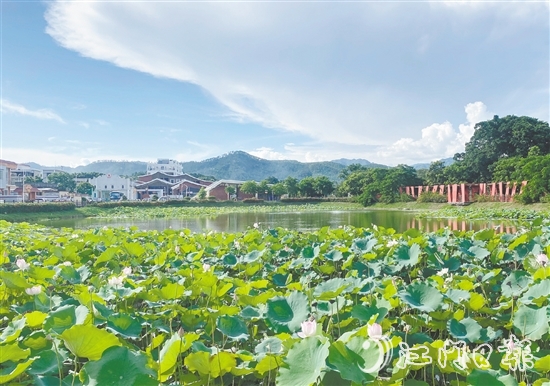 都斛鎮(zhèn)大綱村圍繞產(chǎn)業(yè)發(fā)展、人居環(huán)境、鄉(xiāng)村治理三大重點領域持續(xù)發(fā)力，打造成為區(qū)域鄉(xiāng)村振興的示范樣板。