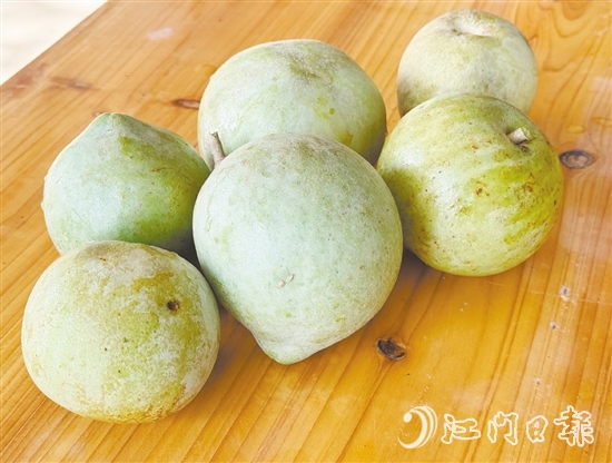 冰淇淋果果實(shí)成熟時(shí)可呈黃色或綠色，果肉為乳白色或米黃色，質(zhì)地綿軟順滑，果香濃郁。