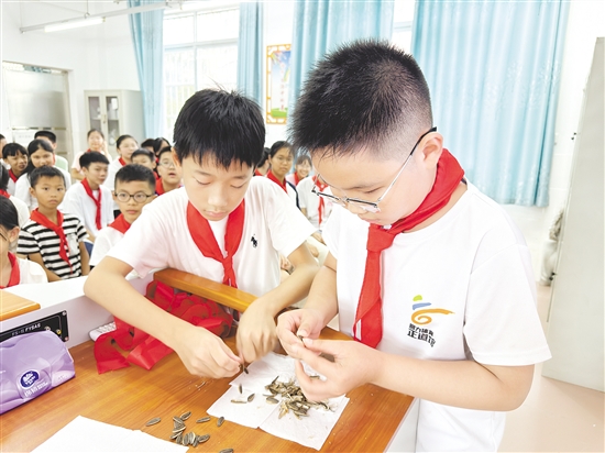 學(xué)生們兩兩配合，立即切換成“剝瓜子高手”模式。