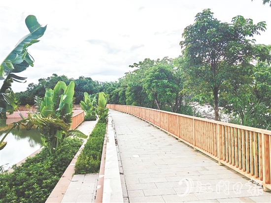 在紅衛(wèi)島堤防達(dá)標(biāo)加固工程的加持下，環(huán)島休閑漫步道建設(shè)持續(xù)推進(jìn)。