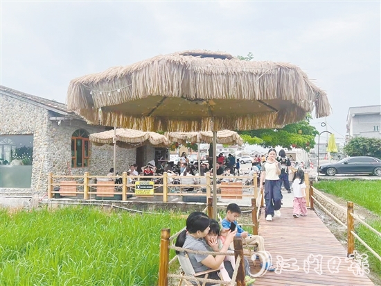 牛江鎮(zhèn)牛欄咖啡吸引諸多游客前來打卡。