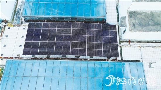臺山市檔案館建筑屋頂上，一片深藍(lán)色的“光能矩陣”正悄然形成。