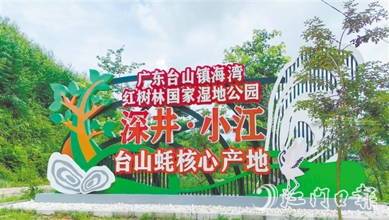 深井鎮(zhèn)小江村是國(guó)家地理標(biāo)志農(nóng)產(chǎn)品“臺(tái)山蠔”核心產(chǎn)區(qū)、蠔苗養(yǎng)殖主產(chǎn)區(qū)，也是廣東臺(tái)山鎮(zhèn)海灣紅樹(shù)林國(guó)家濕地公園東北入口。