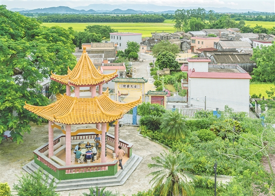 沖蔞鎮(zhèn)西海村通過校地協(xié)作、環(huán)境整治、文旅融合等舉措，推動產業(yè)提質、民生改善、文化傳承。