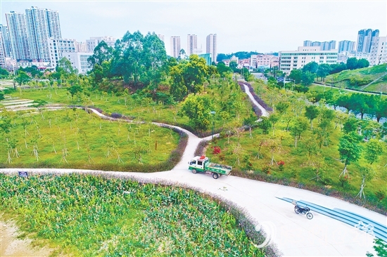 鶴山市聚焦城市交通重要點(diǎn)位，科學(xué)規(guī)劃，打造鶴山文化中心綠美鶴山示范點(diǎn)等，帶動城鄉(xiāng)一體綠美提升。