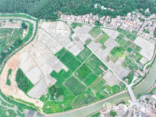 鶴城鎮(zhèn)水浪村農(nóng)業(yè)公園中的田塊錯落有致。