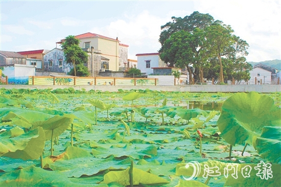 從產(chǎn)業(yè)協(xié)同到生態(tài)蝶變，從設施完善到文化繁榮，川島鎮(zhèn)甫草村甫草村以資源稟賦為基，展現(xiàn)新變化。