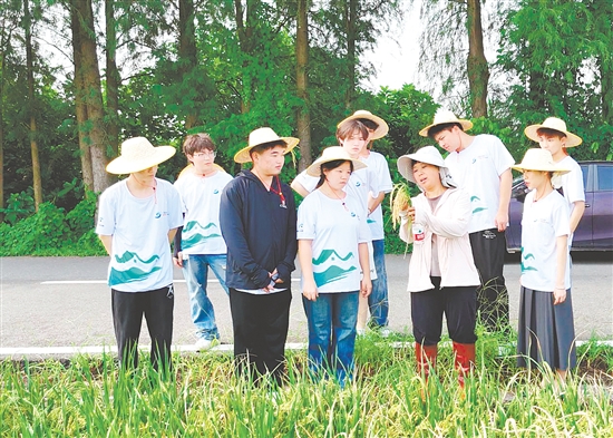 李蘇紅為隊員們介紹水稻生長各個環(huán)節(jié)的特點與注意事項。