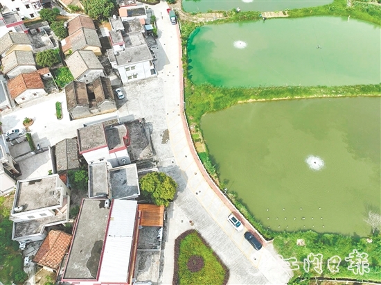 整治后的荔枝園村村道。