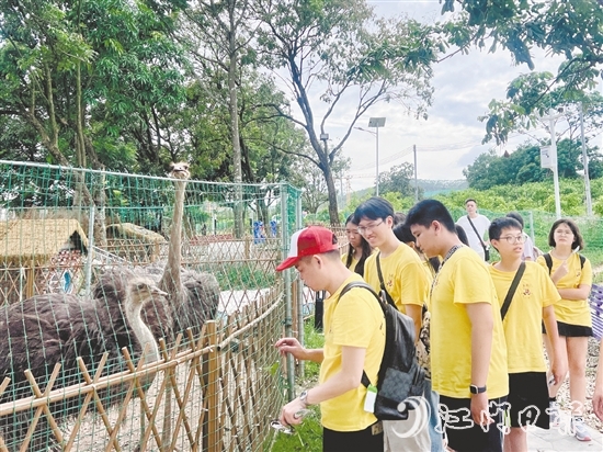 鳳鄉(xiāng)玉懷民宿打造的體驗項目，吸引不少青少年前來參觀。