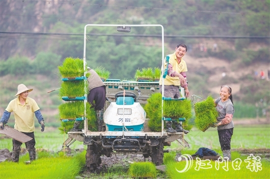 斗山鎮(zhèn)五福村以“產(chǎn)業(yè)融合+生態(tài)提質(zhì)+治理創(chuàng)新”的實(shí)踐路徑，將土地資源轉(zhuǎn)化為發(fā)展資本，讓傳統(tǒng)農(nóng)業(yè)迸發(fā)出現(xiàn)代活力。