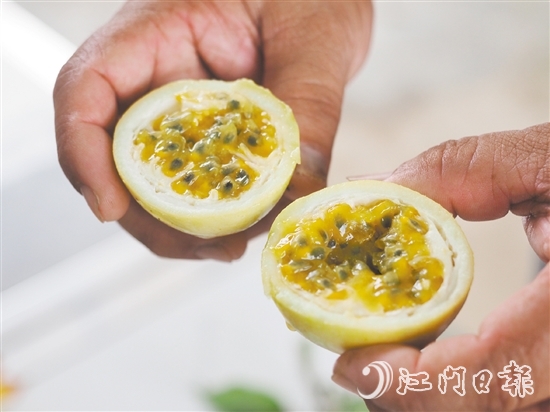 切開黃金百香果，酸甜的香氣撲面而來，十分誘人。