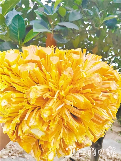 紅肉菠蘿蜜果實清香、口感脆甜且營養(yǎng)價值高。