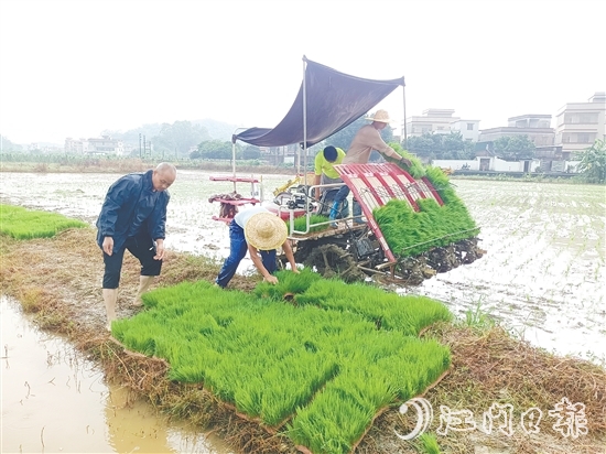 智富強(qiáng)村公司啟動(dòng)晚稻種植項(xiàng)目，通過(guò)對(duì)接第三方專業(yè)機(jī)構(gòu)，為項(xiàng)目提供技術(shù)支持，實(shí)現(xiàn)耕種環(huán)節(jié)機(jī)械化。
