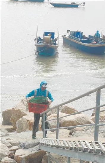 等到漁船靠岸，你可以在漁民處買到各種新鮮海鮮。