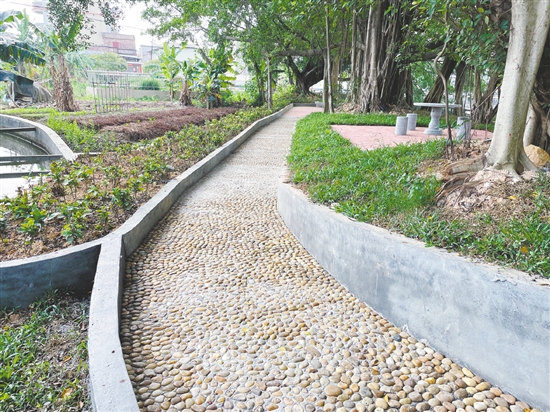 恩平自然村公園里裝設(shè)了石凳、石桌、鵝卵石健身路等設(shè)施，為村民提供更多的文化活動(dòng)選擇。