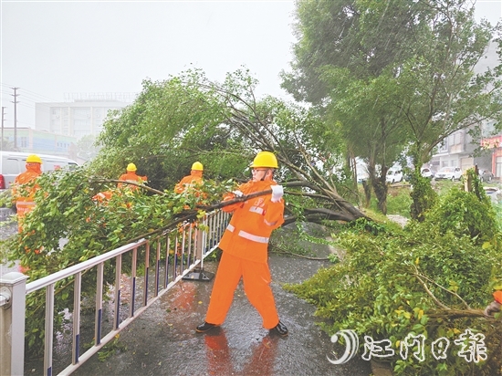 工作人員冒著風(fēng)雨作業(yè)，清理倒伏樹木。