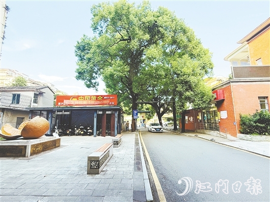 會城街道文體服務中心側地塊現(xiàn)狀。