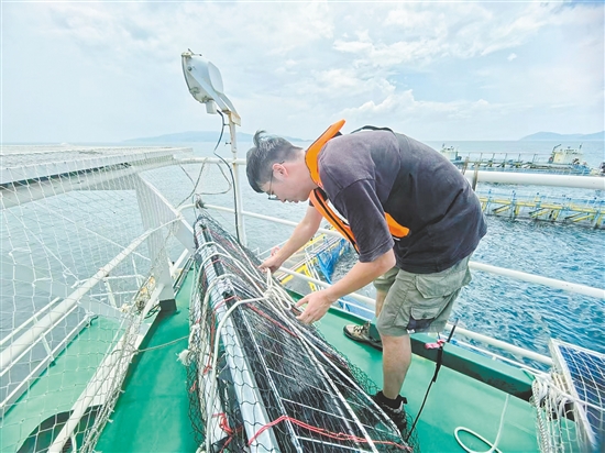 工作人員對(duì)“臺(tái)山1號(hào)”的太陽能板進(jìn)行加固。