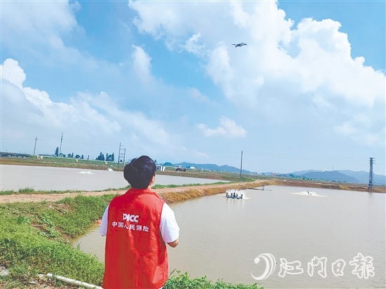 江門人保財險工作人員現(xiàn)場開展前置性風(fēng)險排查與防護指導(dǎo)。