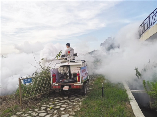 開平市塘口鎮(zhèn)通過多種方式應(yīng)用煙霧機滅蚊。圖為煙霧機搭配農(nóng)用車對蚊蟲進行滅殺。